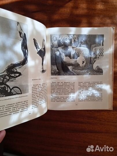 Ю. Дмитриев Человек и животные 1976г