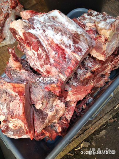 Субпродукты для собак и кошек