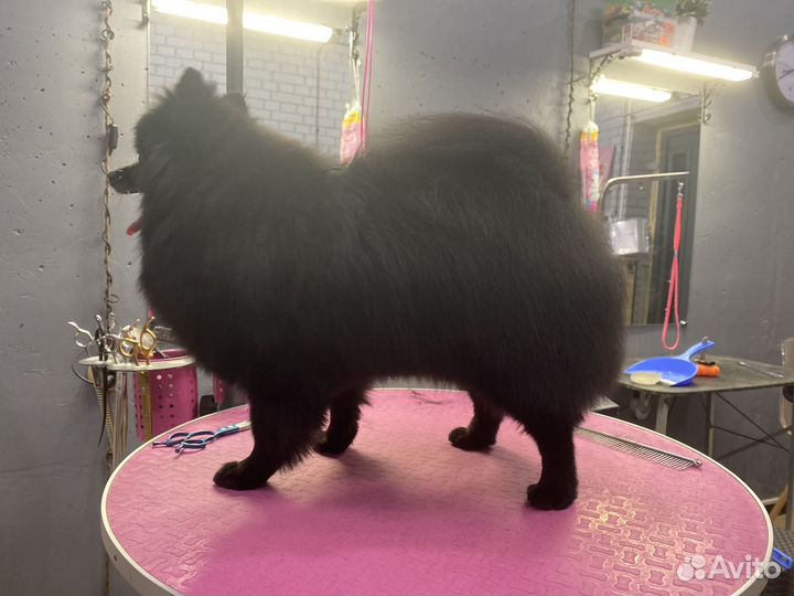 Модель на груминг