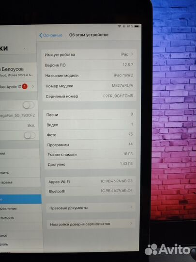 iPad mini 2
