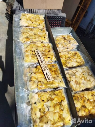 Мясо рапана / Производитель оптом