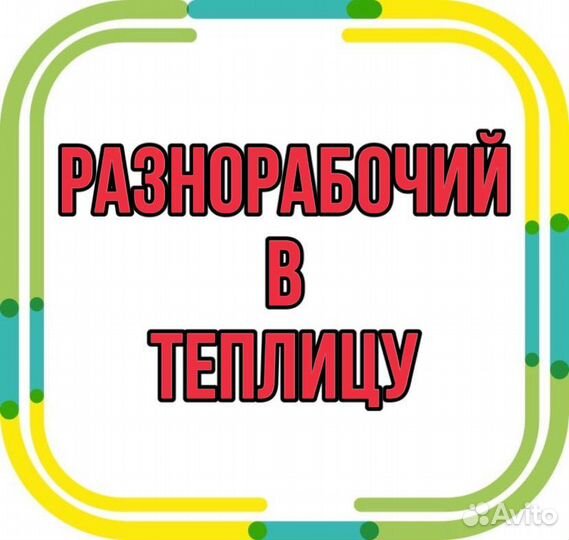 Разнорабочий в теплицу