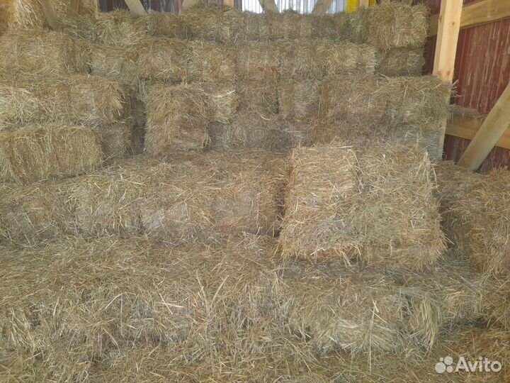 Сено 2023 года арт. оещ6178