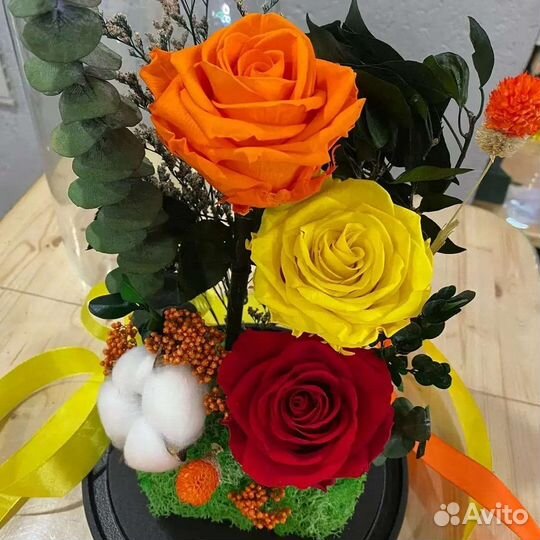 Живая роза в колбе