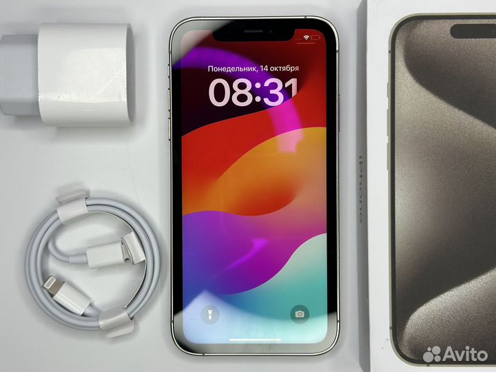 iPhone xr в корпусе 15 pro титан