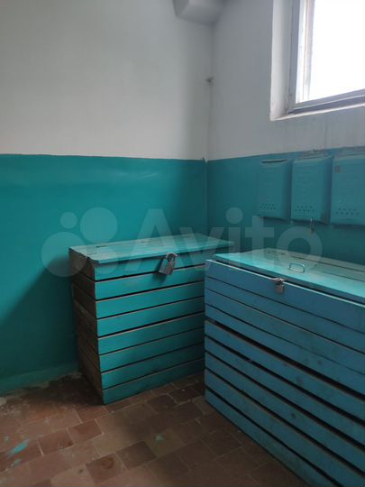 4-к. квартира, 82,2 м², 2/3 эт.