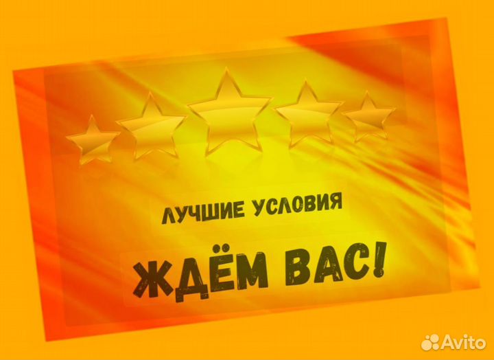 Кладовщик без опыта Еженедельные выплаты Одежда