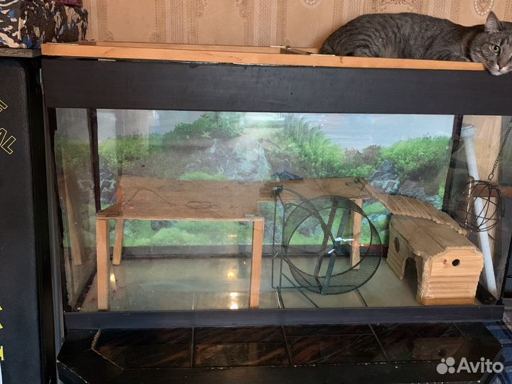 Аквариум террариум для грызунов