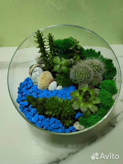 Подарок Флорариум Суккуленты