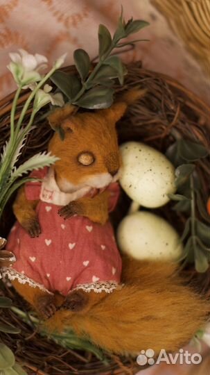 Тедди белка