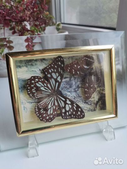 Рамка-бабочки