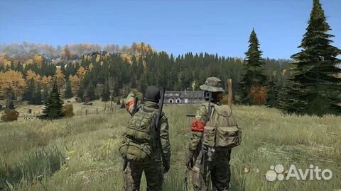 DayZ PS4/PS5