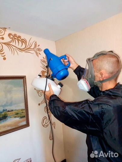 Дезинфекция Уничтожение тараканов клопов насекомых