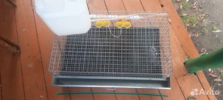 Клетки для перепелов бу на 30 голов