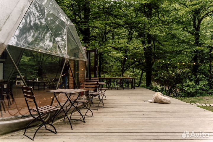 Пикник, Романтический ужин в лесу, Свидание