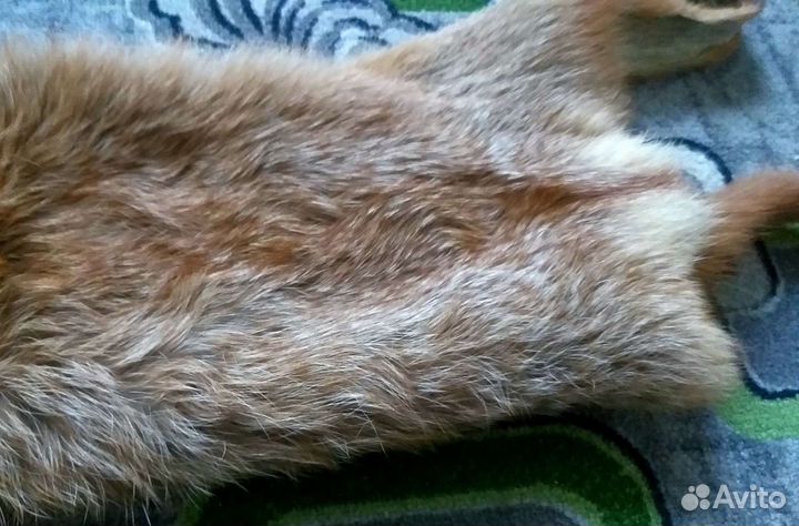 Лиса.Выделанная шкура.Чулок