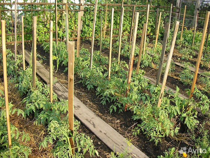 Колышки для подвязки растений в Нижнем Новгороде