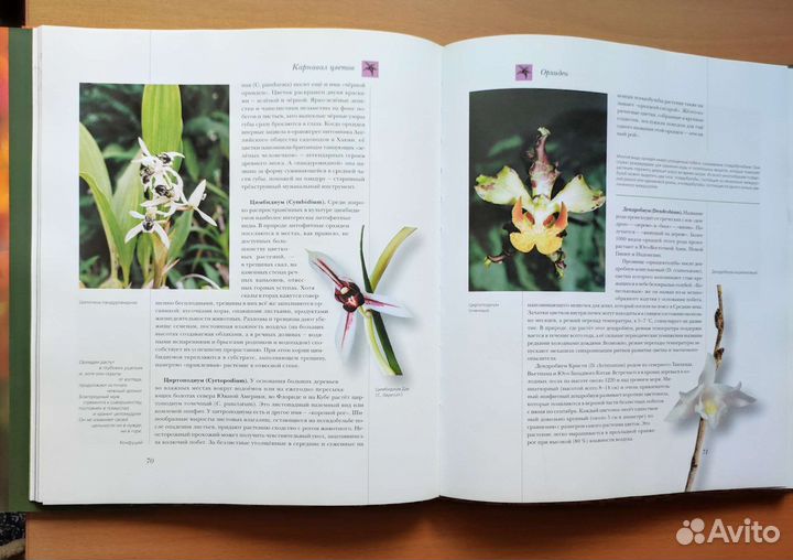Книги по цветам и цветоводству
