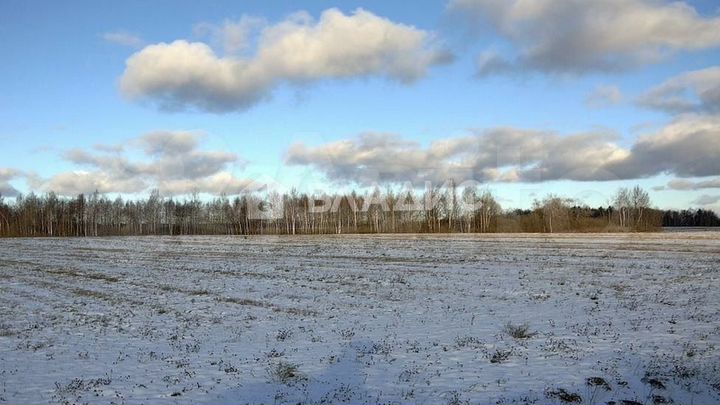 Участок 17,14 га (ИЖС)