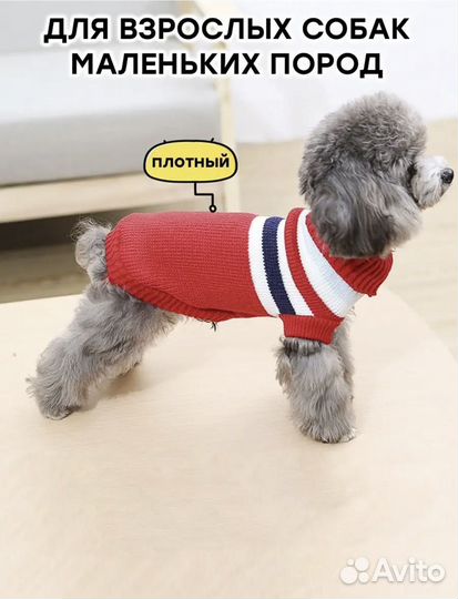 Одежда для собак и кошек