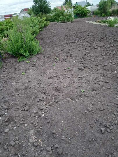 Дача 10 м² на участке 3,9 сот.