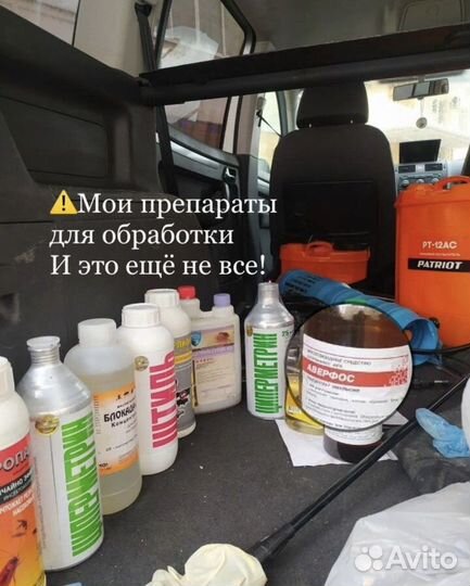 Уничтожение тараканов, клопов, блох и др