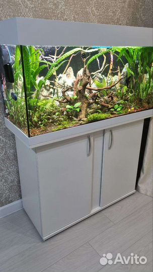 Аквариум 200л