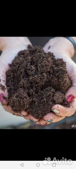 Навоз чистый Перегной в мешках