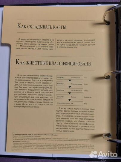 В мире дикой природы. Энциклопедия