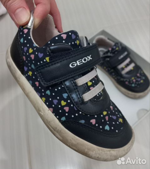 Кеды geox 24
