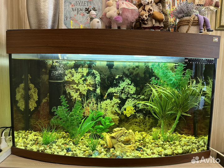 Аквариум с рыбками
