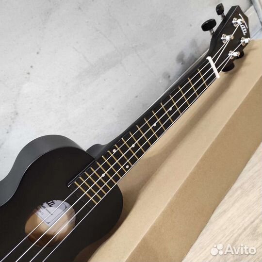 Укулеле новая концерт