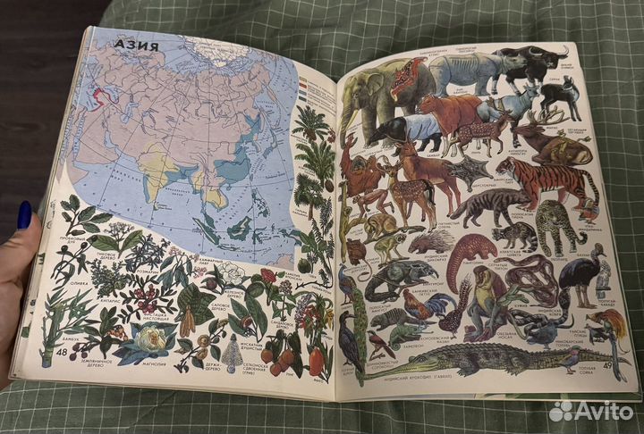 Мир вокруг нас атлас