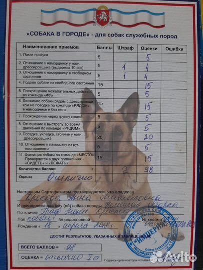 Щенки немецкой овчарки с документами