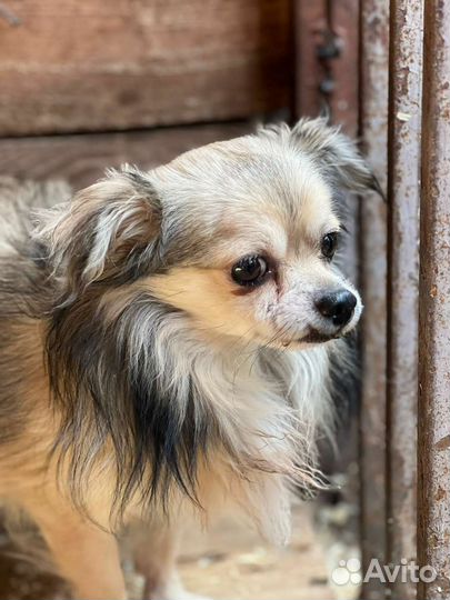 Малыша сдали в приют