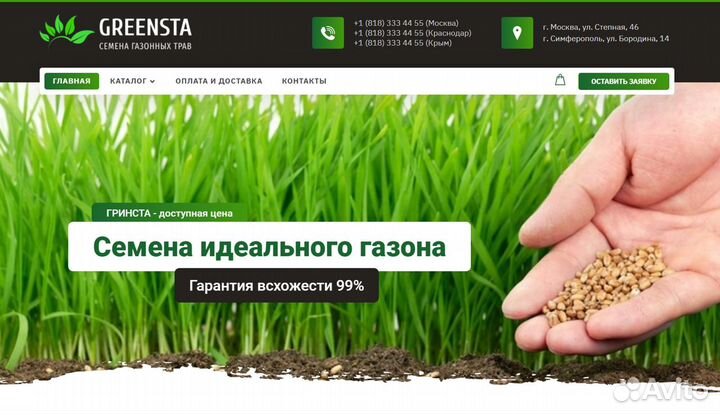 Создание сайта за 72 часа