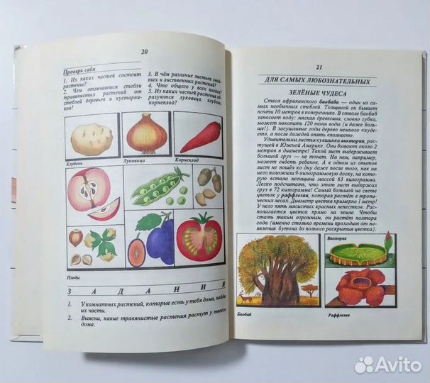 Плешаков Природа