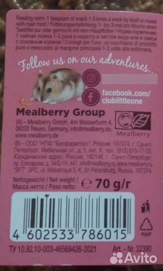 Мучной червь