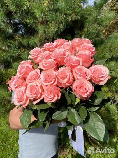 Высокие розы эквадор 80 см / Букеты с доставкой