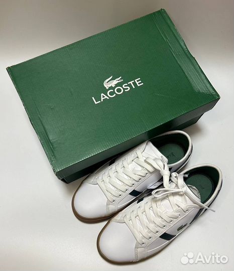 Кеды lacoste оригинал
