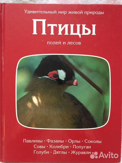 Энциклопедии для детей и взрослых