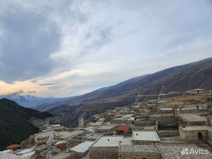 Грозный Чечня поездка, встреча, гид