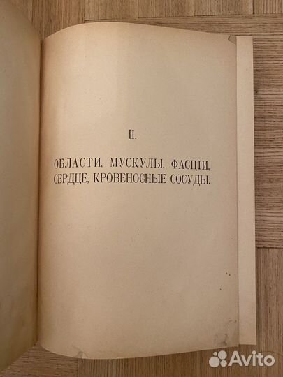 1918 Атлас по анатомии человека Шпальтегольц