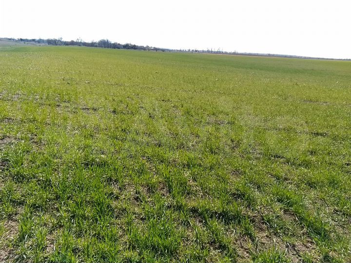 Участок 4,5 га (СНТ, ДНП)