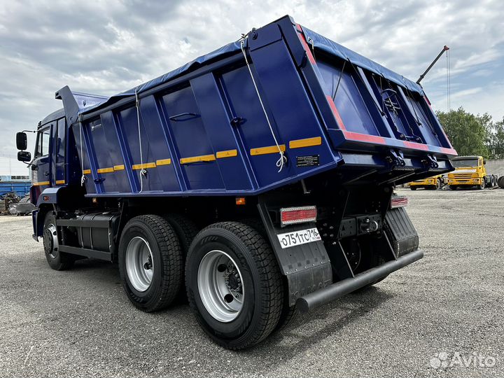 КамАЗ 65116, 2013