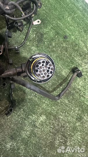 Жгут проводов двигатель BMW X6 50iX N63