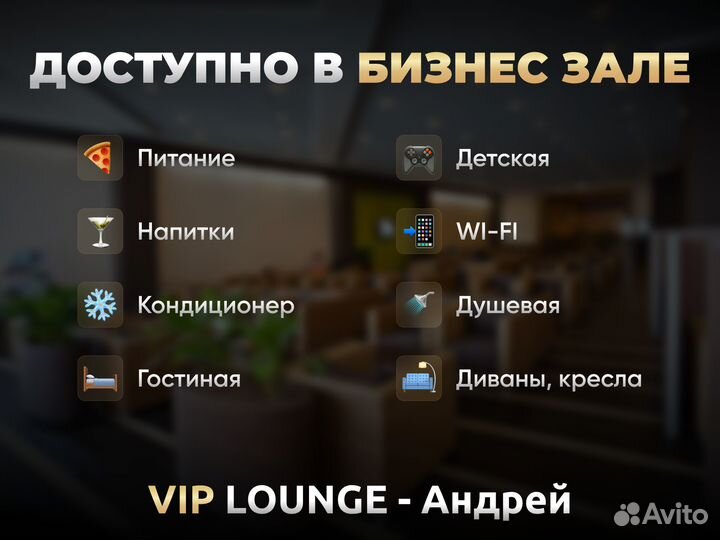 Проход (пропуск) в бизнес залы SVO, DME, VKO, ZIA