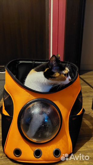 Переноска для кошек и собак. рюкзак