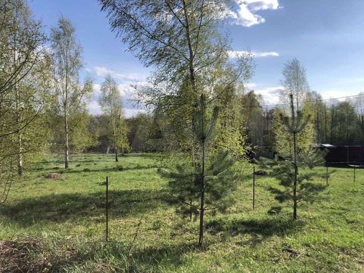 Участок 10 сот. (СНТ, ДНП)