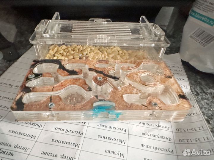 Муравьиная ферма без муравьев с колбами